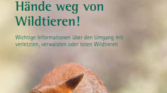 Grafik: Sächsisches Staatsministerium für Umwelt und Landwirtschaft