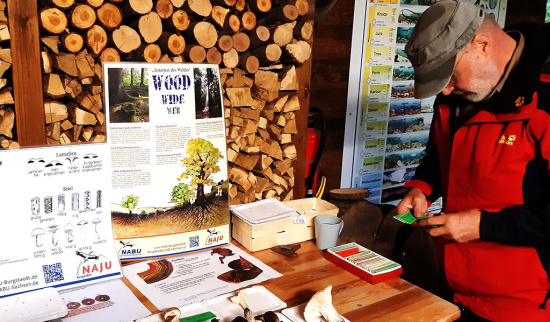 Pilzberater Wolfgang Friese Foto: Silke Schubert