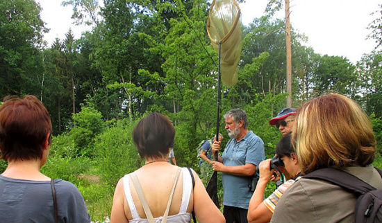 Libellen beobachten auf der Blumenwiese in der Naturschutzstation Herrenhaide Foto: Susanne Vollendorf