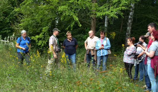 Herr Schubert (2. v. l.) erklärt die ökologische Bedeutung spät blühender Arten. Foto: Fabiola Brucke