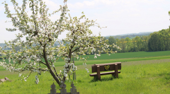 Ein schöner Platz zum Innehalten auf unserem Apfellehrpfad. Foto: Luise Schenk