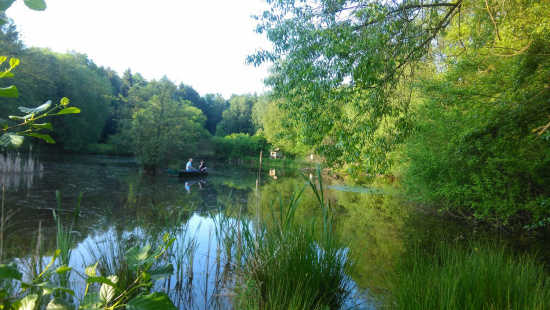 Der Schwarzteich prägt das Gelände der Naturschutzstation Herrenhaide Foto: Christel Römer