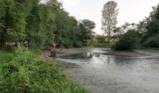Blick zum geleerten Schwarzteich Foto: Christel Römer